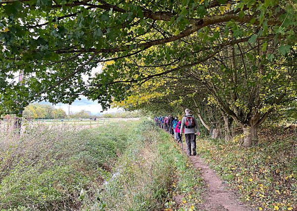 A Collingham foitpath